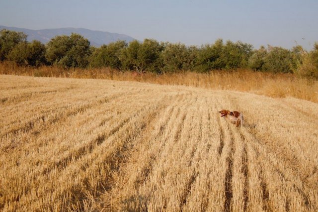 Αγωνες Α.Κ.Ι 18/6/2017